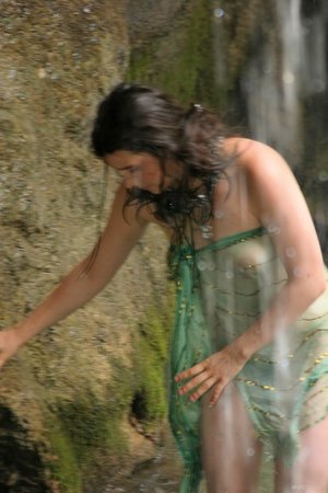 Varia bushy - Picture 10