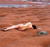 Amateur nature