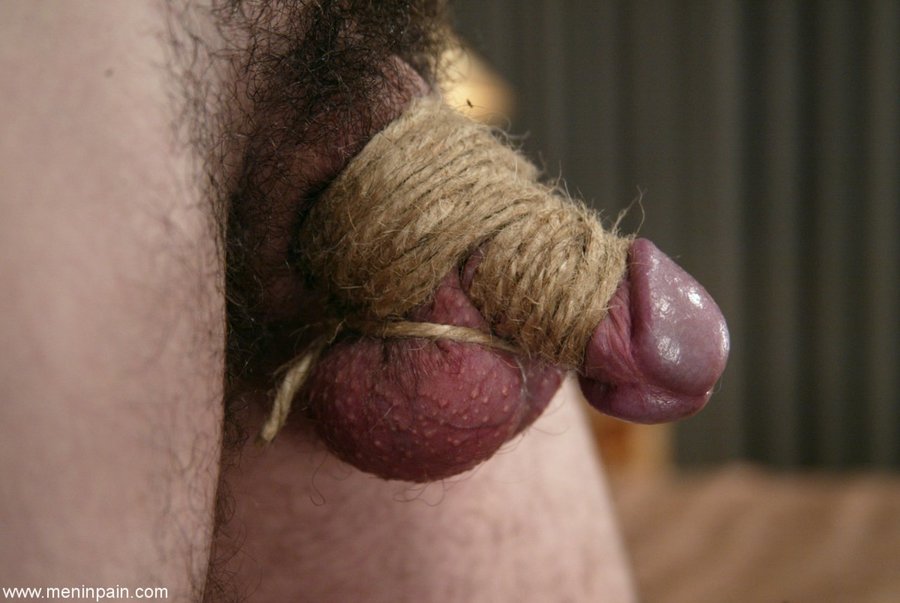 Fat strapon - XXXonXXX - Pic 1