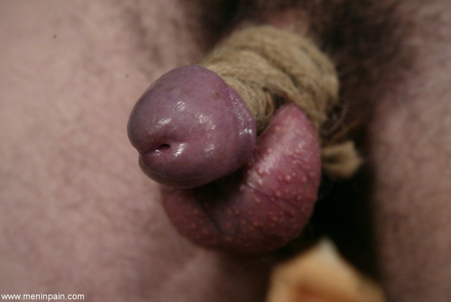 Fat strapon - XXXonXXX - Pic 3