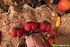 groupsex orgy