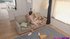 Pov rough creampie