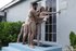 teen small tits pool