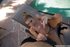 Big ass mom fantasy massage