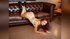 cam girl squirt