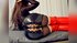 italian webcam dildo