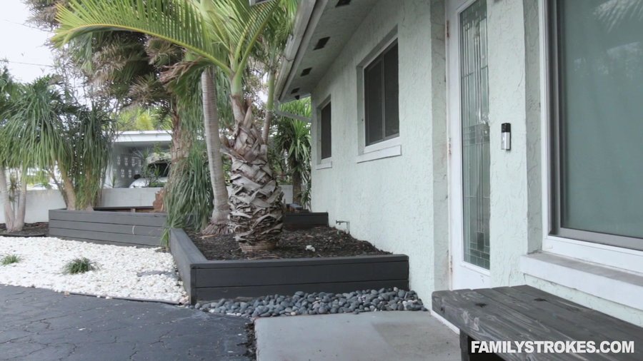 Naughty brunette loves cock sucking, poking - XXX Dessert - Picture 1