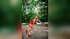 camgirl bisexual squirt