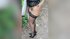 hungarian mature striptease