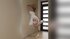 hungarian anal sex