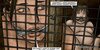 Chick is tied up while fucked in a dungeon. Breeders The Next Generation