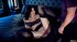 vixen black stockings craves