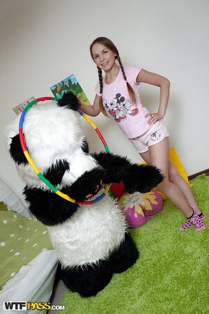 Young panda