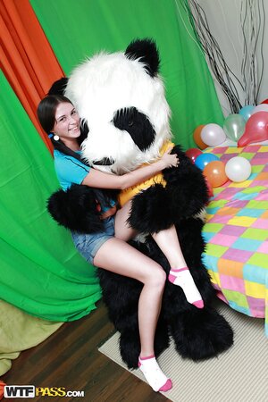 Cute panda