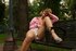 teen's upskirt shots the