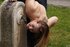 frisky teen's provocative outdoor