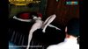 White skinned 3d girl take dick in asshole