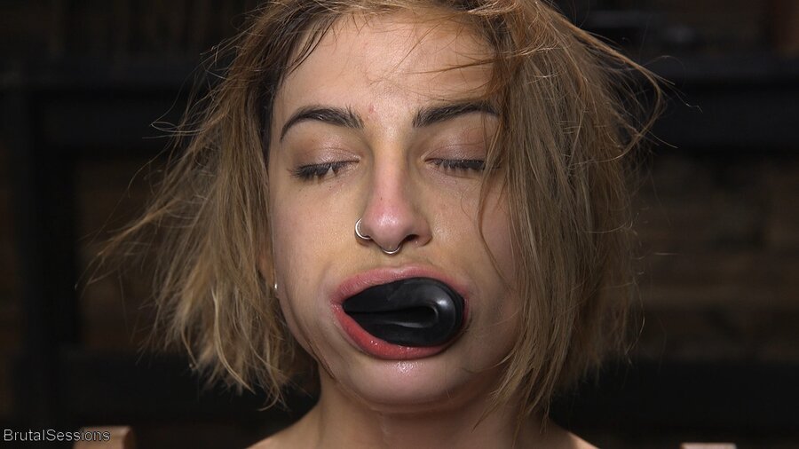 Perfect dirty bitch fucked hard - XXXonXXX - Pic 5