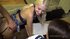 Blonde german teen fucked hard