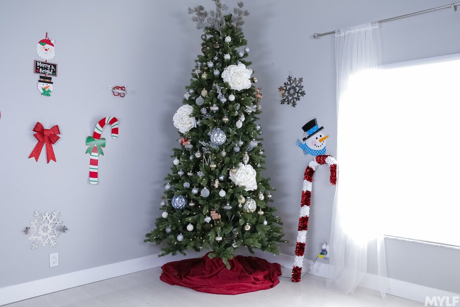 Christmas shagging for seasoned slut - XXX Dessert - Picture 1