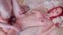 big tits teen gets