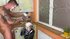 Shaved pussy czech blonde fucked hard in the kitchen