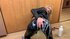Czech blonde fucked rough