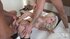 shaved pussy german teen