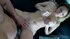 Shaved pussy austrian brunette rough sex