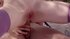 sexy female orgasm ass