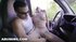 Young naughty brunette gets hard drilling session in a car