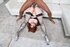 Redhead american milf rough sex