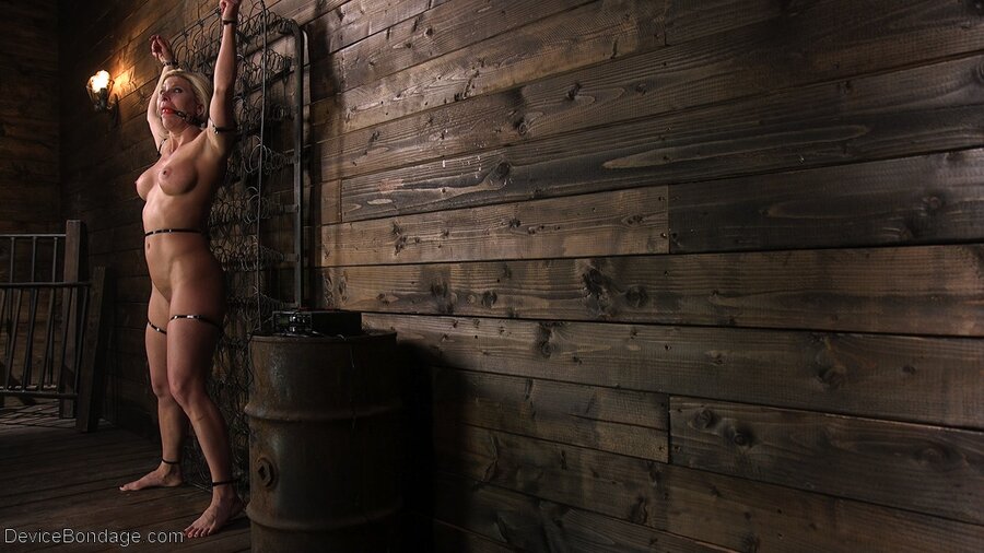 Sophisticate bound and skull fucked - XXX Dessert - Picture 8