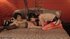 Freaky ladyboy gets strap-on treatment from his friend 