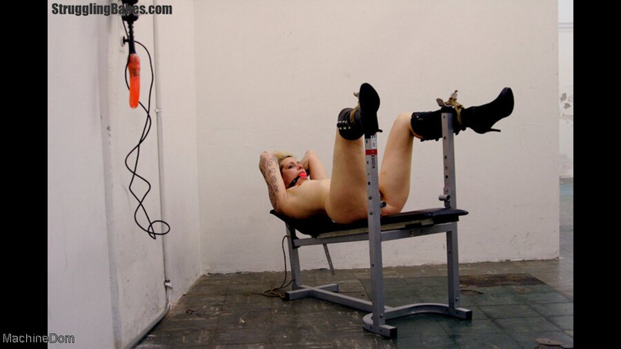 Tattooed blonde mature fixed, gagged and ma - XXX Dessert - Picture 9