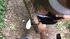 Hard outdoor analfuck for freaky tattooed chick
