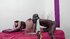 Tattooed tanned brunette gets bbc into her asshole