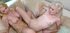 hot blonde milf dicks