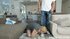 Hot submissive milf sucks cock and fucked by stepson