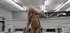 Lesbian aunt and niece have hot orgy in laundry