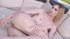 petite tattooed chick toys