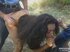 busty italian chick pounded