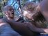 Two hot blondes pounded hard in threesome
