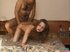 Pretty long-haired chick dicked hard by daddy