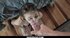 teen hussy wants play