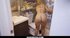 gold-haired hussy needs hardcore