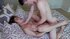 beautiful asian teen stiffed