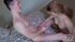 hot asian couple loves