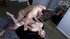 Small tits ginger teen rides boyfriend's big cock