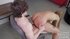 Busty ebony teen seduced white muscular dude